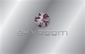 SKYROOM VIP Silver Small 165X105