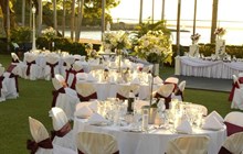 White Marroon Themed Lawns Wedding