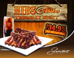 Ribs and Bibs