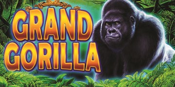 Grand Gorilla