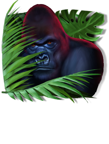 Gorilla